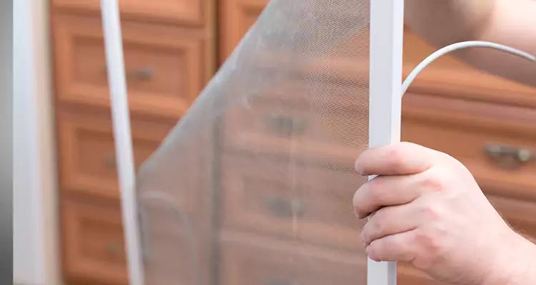 Privacy Mesh Screen Door Installation in Richmond, CA